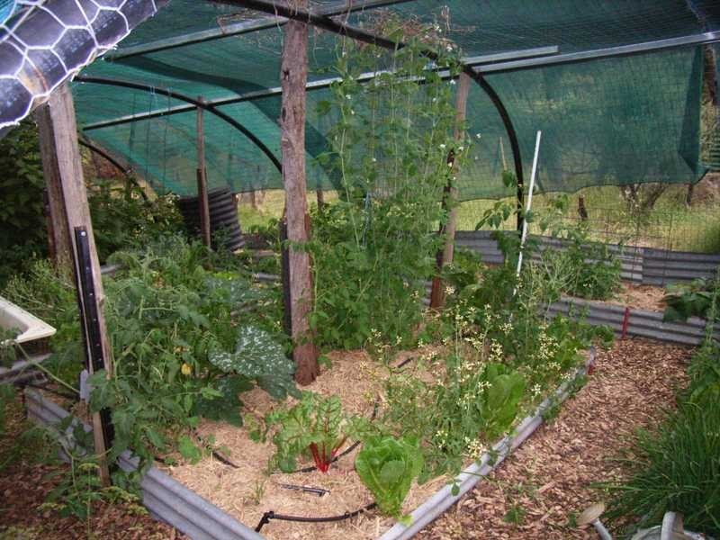 164 Power Street, Tumbarumba NSW 2653