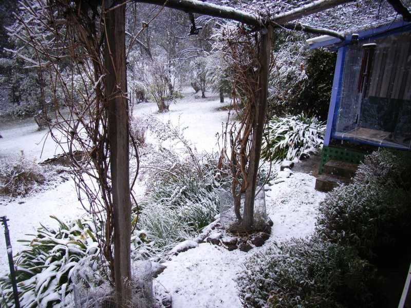 164 Power Street, Tumbarumba NSW 2653