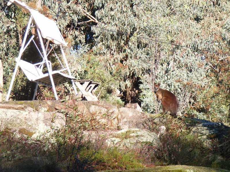 164 Power Street, Tumbarumba NSW 2653