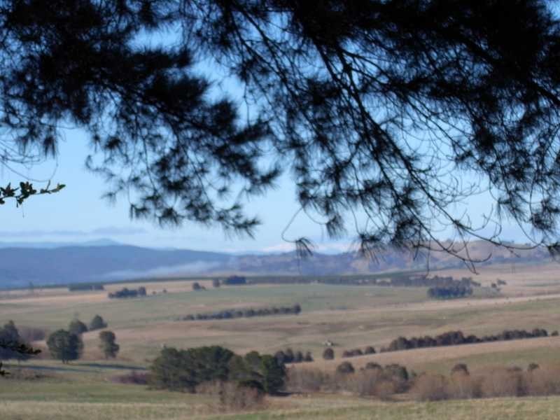 Lot1 DP 303058 Mannus Creek Road, Tumbarumba NSW 2653