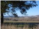 Lot1 DP 303058 Mannus Creek Road, Tumbarumba NSW 2653