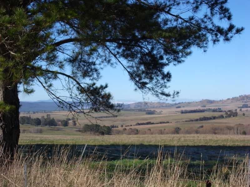 Lot1 DP 303058 Mannus Creek Road, Tumbarumba NSW 2653