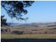 Lot1 DP 303058 Mannus Creek Road, Tumbarumba NSW 2653