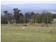 Kilmeen 744 Coppabella Road, Tumbarumba NSW 2653