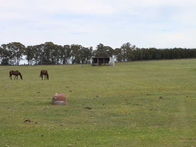 Kilmeen 744 Coppabella Road, Tumbarumba NSW 2653
