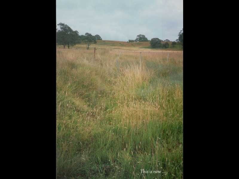 188 Bradley’s Drive, Tumbarumba NSW 2653