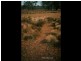 188 Bradley’s Drive, Tumbarumba NSW 2653