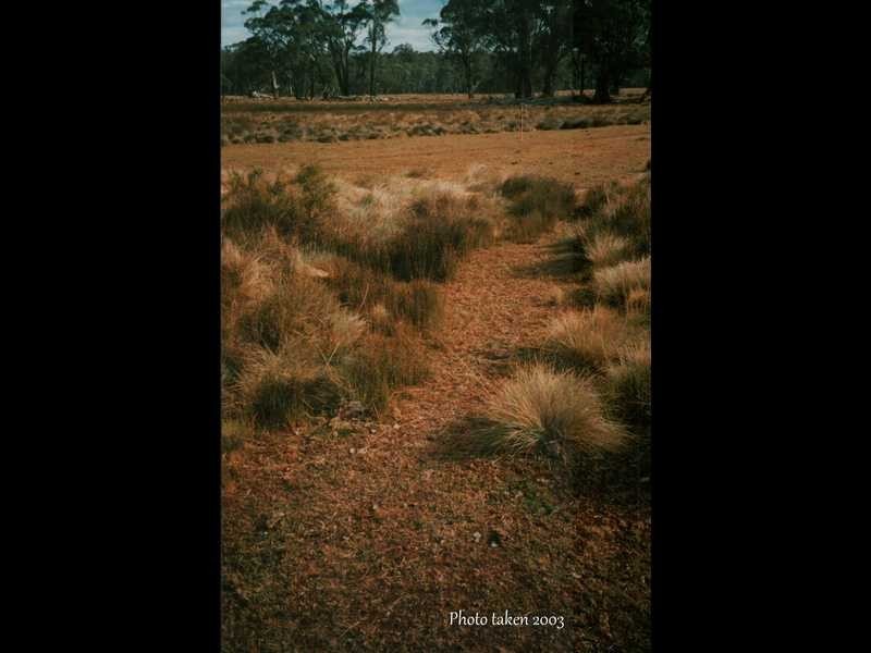 188 Bradley’s Drive, Tumbarumba NSW 2653