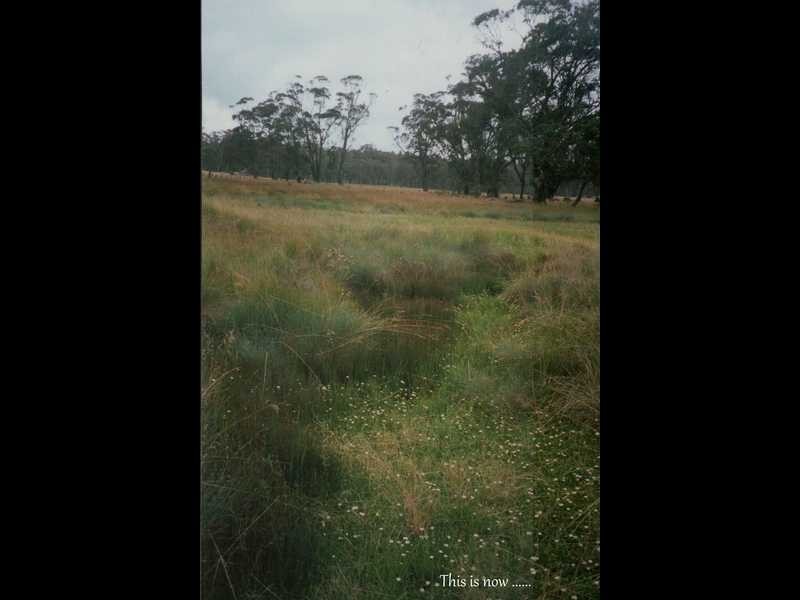 188 Bradley’s Drive, Tumbarumba NSW 2653