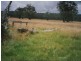 188 Bradley’s Drive, Tumbarumba NSW 2653