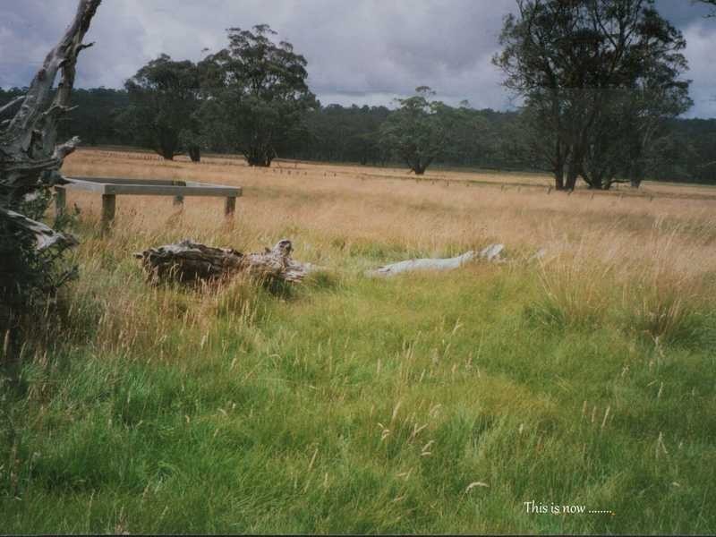 188 Bradley’s Drive, Tumbarumba NSW 2653