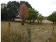 424 Wagga Road, Tumbarumba NSW 2653