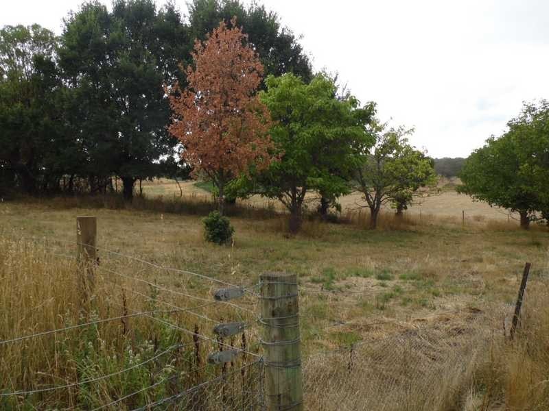 424 Wagga Road, Tumbarumba NSW 2653