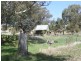 347 Welumba Creek Road, Tumbarumba NSW 2653
