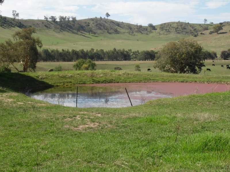347 Welumba Creek Road, Tumbarumba NSW 2653