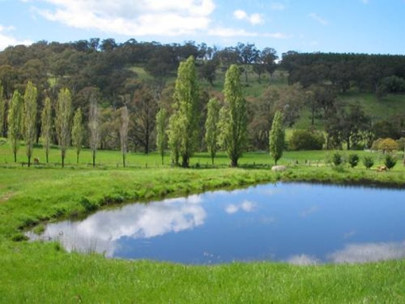 1236 Tooma Road, Tumbarumba NSW 2653