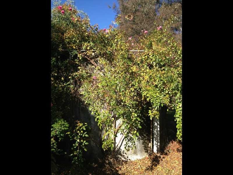 9 Coppabella Road, Tumbarumba NSW 2653