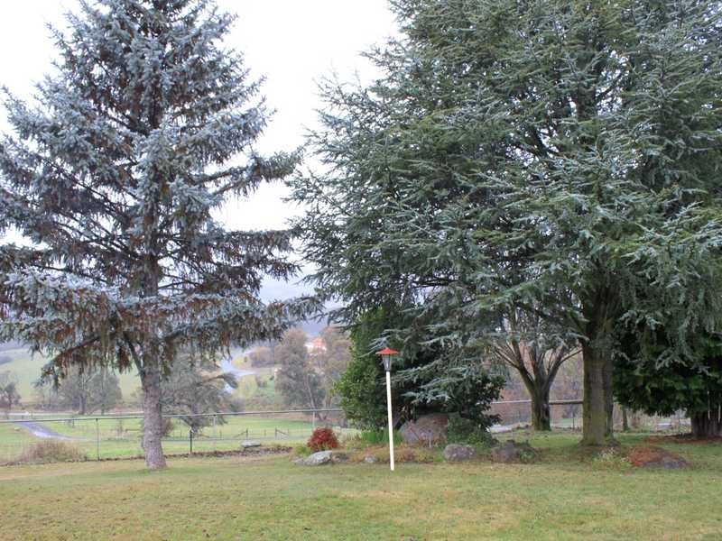 63 Bogong Street, Tumbarumba NSW 2653