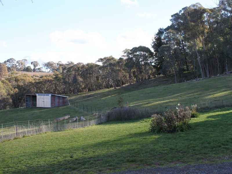 63 Bogong Street, Tumbarumba NSW 2653