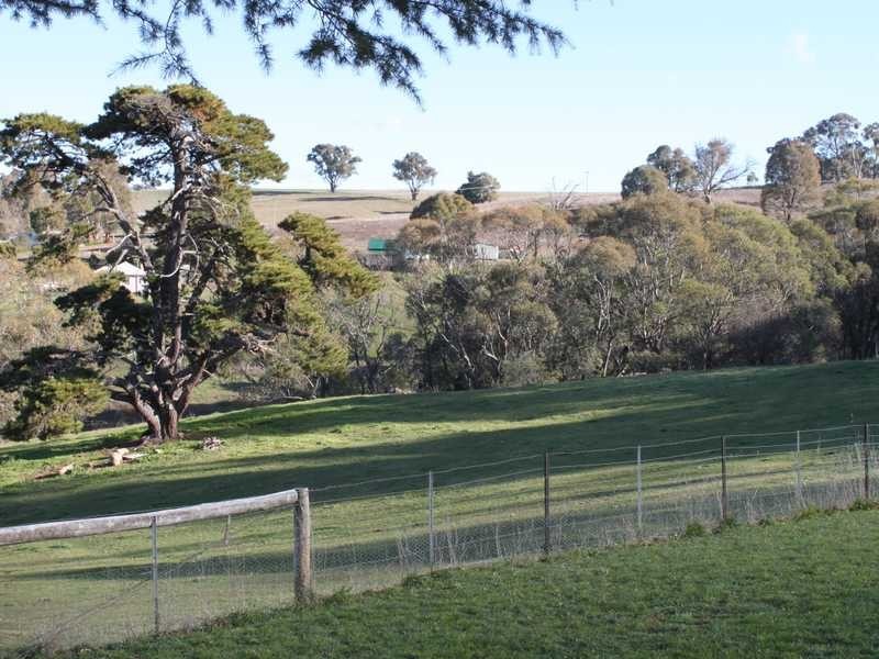 63 Bogong Street, Tumbarumba NSW 2653