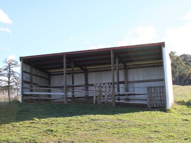 63 Bogong Street, Tumbarumba NSW 2653