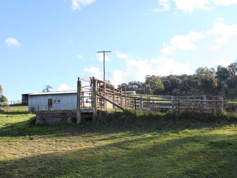 63 Bogong Street, Tumbarumba NSW 2653