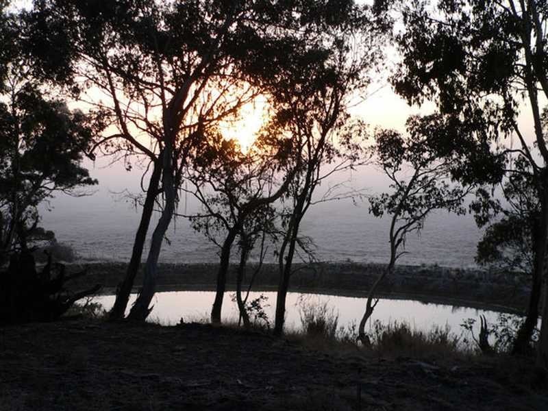 230 Bradley’s Drive, Tumbarumba NSW 2653