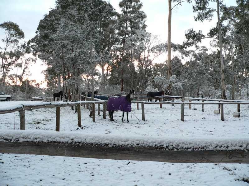 230 Bradley’s Drive, Tumbarumba NSW 2653