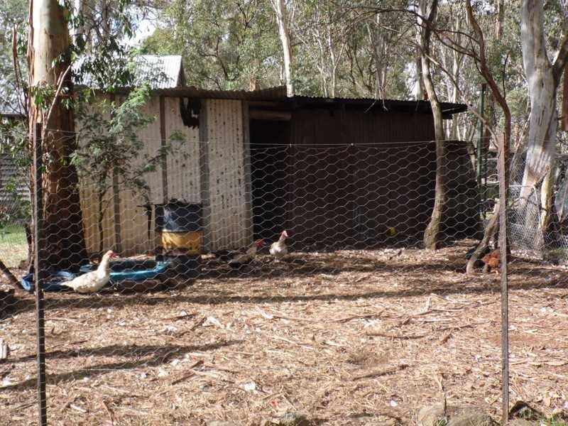 230 Bradley’s Drive, Tumbarumba NSW 2653