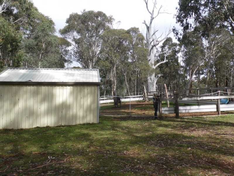 230 Bradley’s Drive, Tumbarumba NSW 2653