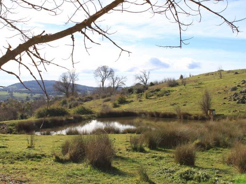 41 Power Street, Tumbarumba NSW 2653