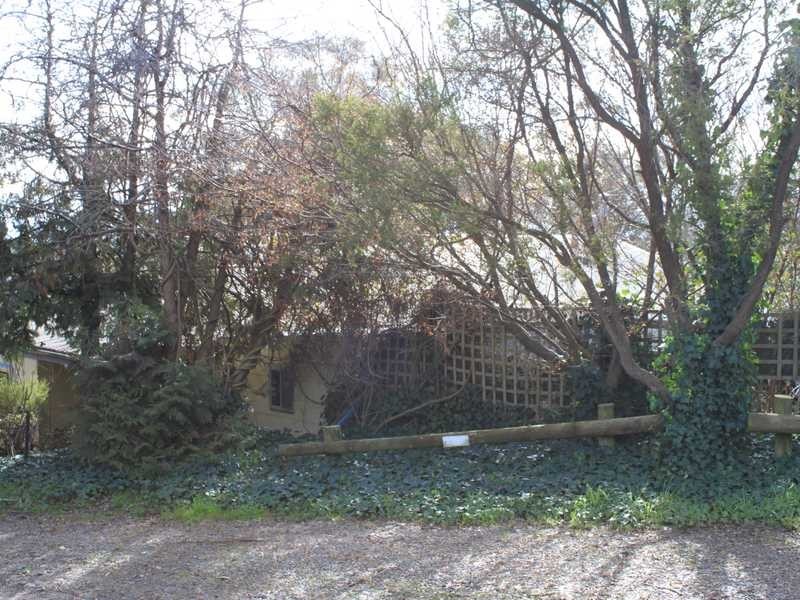 41 Power Street, Tumbarumba NSW 2653