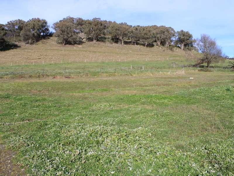 41 Power Street, Tumbarumba NSW 2653