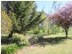 47 Ramsay Road, Tumbarumba NSW 2653