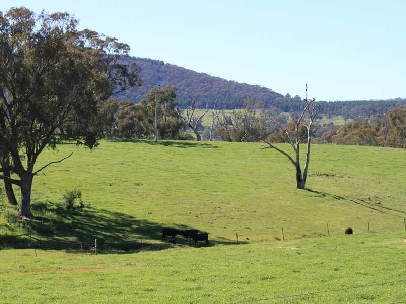 47 Ramsay Road, Tumbarumba NSW 2653