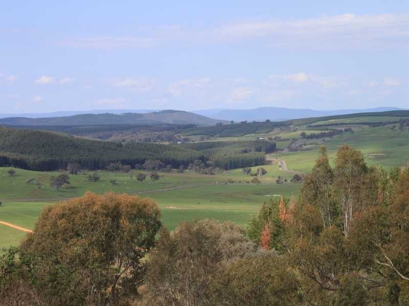 Lot 6 DP1130205 Jingellic Road, Tumbarumba NSW 2653