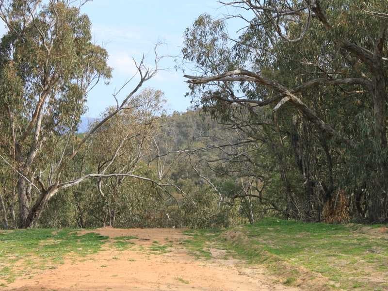 Lot 6 DP1130205 Jingellic Road, Tumbarumba NSW 2653
