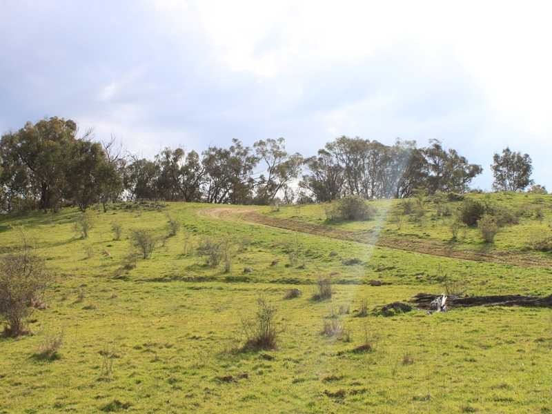 Lot 6 DP1130205 Jingellic Road, Tumbarumba NSW 2653