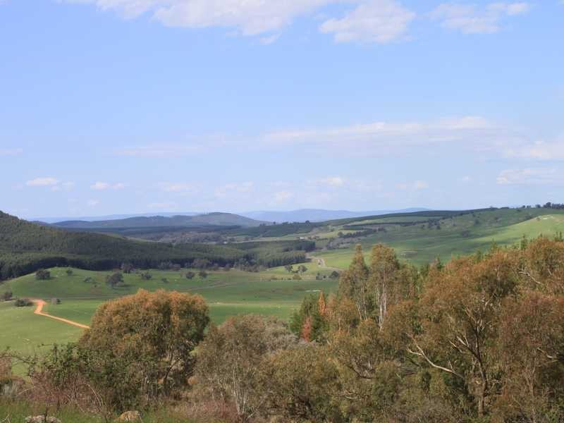 Lot 6 DP1130205 Jingellic Road, Tumbarumba NSW 2653
