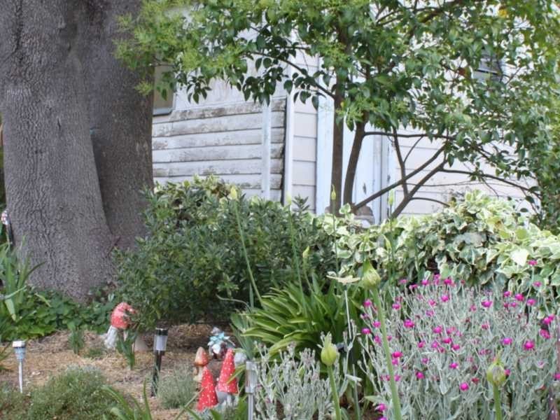 17 William Street, Tumbarumba NSW 2653