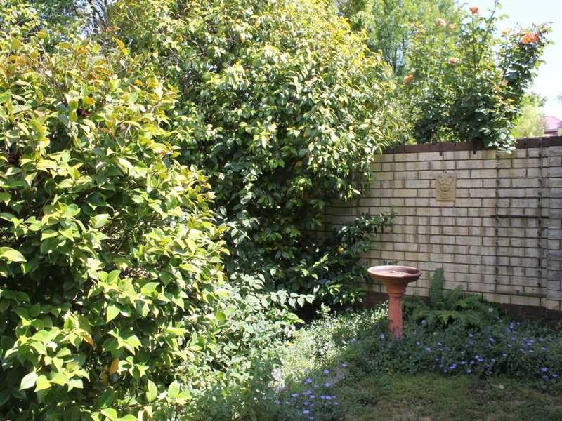 12 Regent Street, Tumbarumba NSW 2653