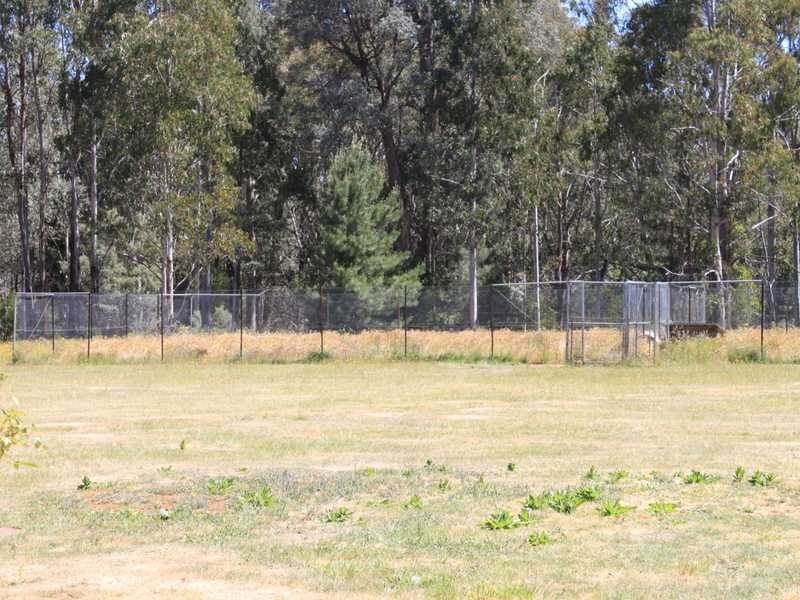 2161 Batlow Road, Laurel Hill NSW 2649