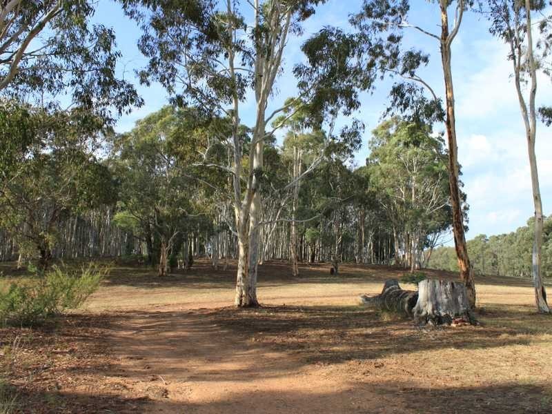 Gubinga 106 Downfall Road, Tumbarumba NSW 2653