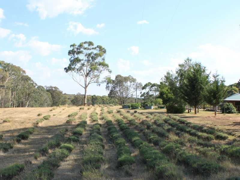 Gubinga 106 Downfall Road, Tumbarumba NSW 2653