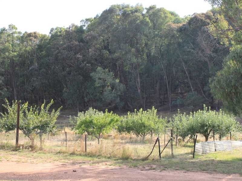 Gubinga 106 Downfall Road, Tumbarumba NSW 2653