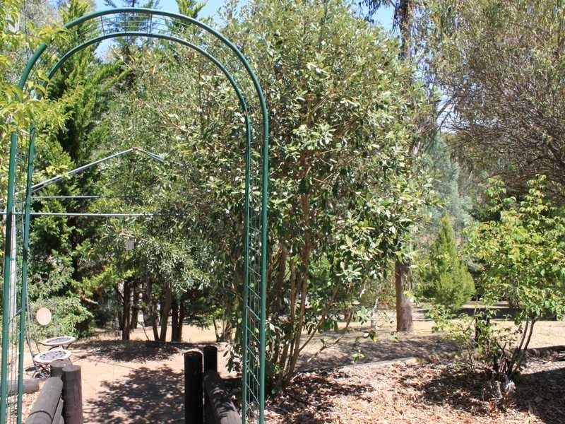 8 Lyne Street, Tumbarumba NSW 2653