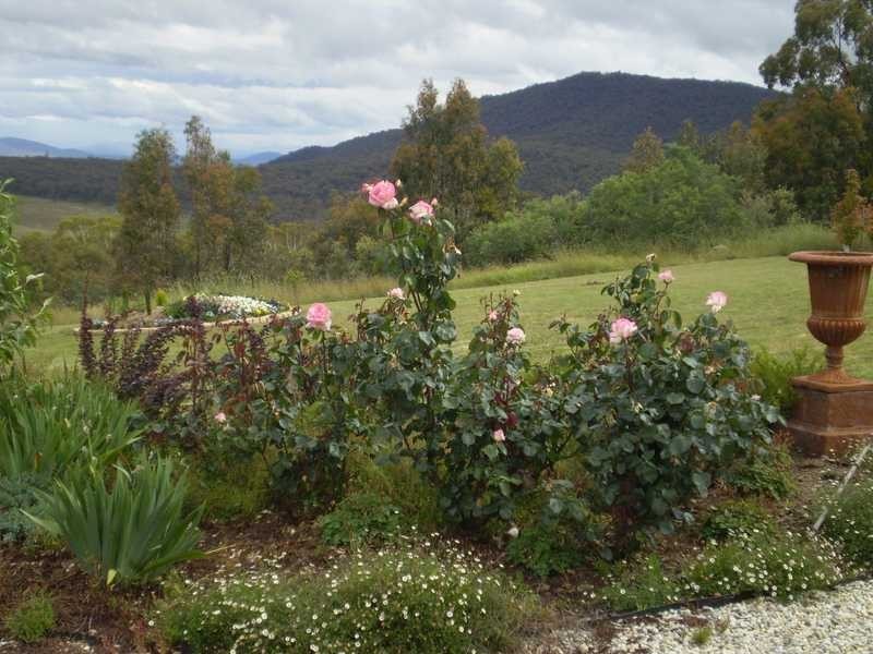 ‘Stirling’ 31 Paddy’s River Road, Tumbarumba NSW 2653