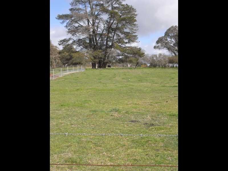Lot 8 Carabost Street, Tumbarumba NSW 2653