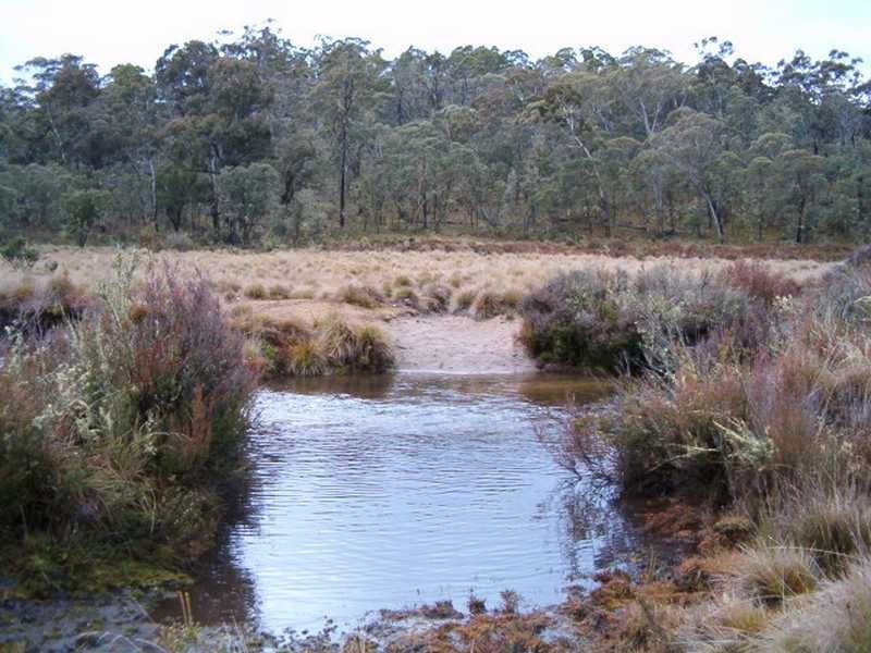 Lot 1 East Bago Powerline Road, Tumbarumba NSW 2653