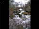 Lot 1 East Bago Powerline Road, Tumbarumba NSW 2653